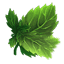 Wild Hunt Leaf-Dance Aura icon